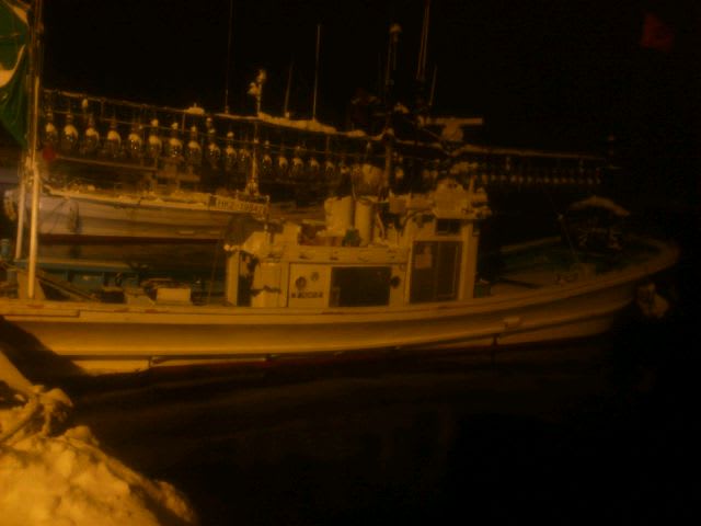 積丹ブルー 幌武意沖にサクラマスちゃん・・・痛・痛・痛てて 北海道seamaster積丹ブルー