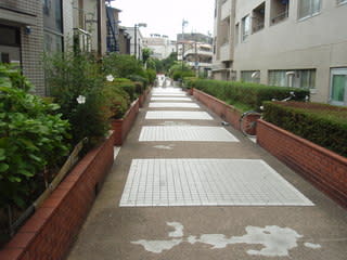 桃園川緑道をジョグ ブラスカル 桃園川緑道をジョグ ブラスカル