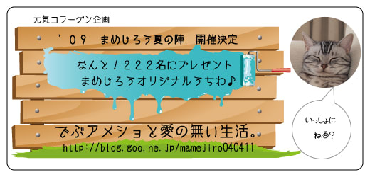 応募はコチラ！