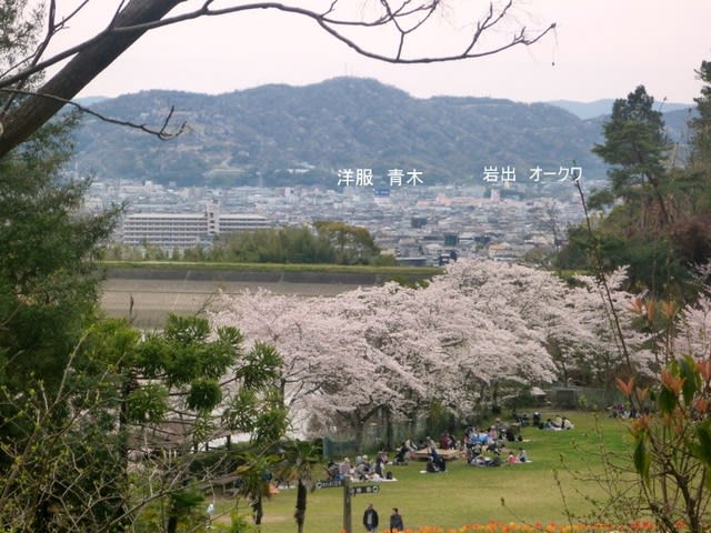 和歌山 岩出市 県立緑花センター お花見 気ままに人生送れたら 和歌山 岩出市 県立緑花センター お花見 気ままに人生送れたら
