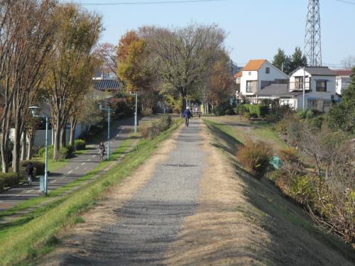 狭山 境緑道の土手 中小企業診断士 福田 徹 ブログ