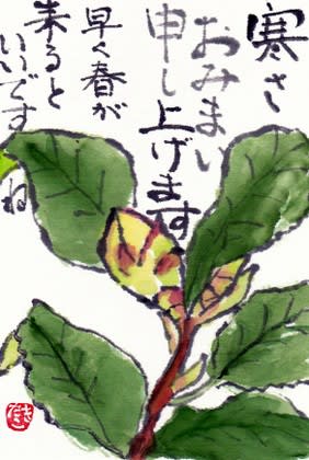 寒中見舞い のんびり気ままな絵手紙日記