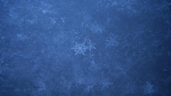 Photo_2 Photo_2
