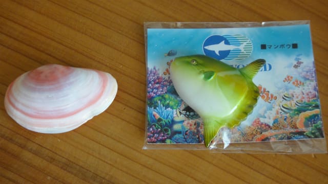 大洗水族館のお土産 うさぎ学園 多趣味部