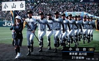 センバツ出場校　都立小山台　公式ユニフォーム 都立小山台高校 野球部 公式ユニフォーム｜Yahoo!フリマ（旧