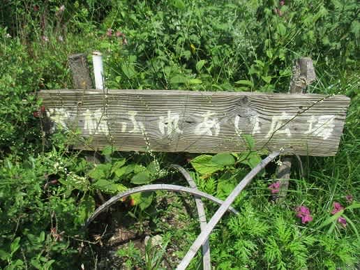 都会の中の深い森 栄橋ふれあい広場 ブログ