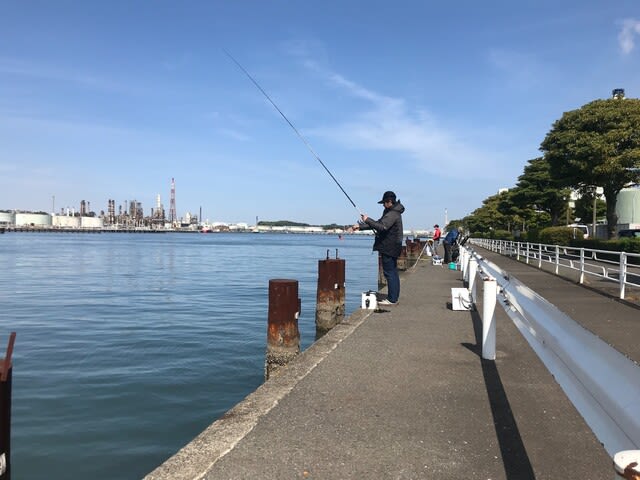 釣り 根岸 港 神奈川ではじめて海釣りをするなら絶対に根岸港（湾）がおすすめ！理由と釣れる場所も