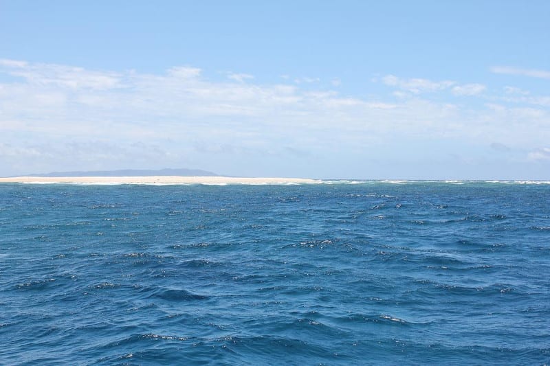 Img_0908_20 Img_0908_20