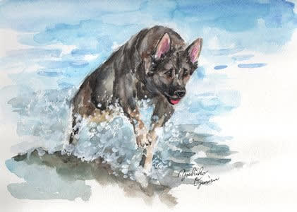 犬の絵 マスキングインク 透明水彩画 小栗栖好子 水彩画 イラスト