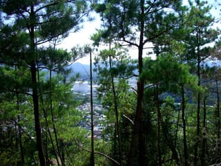 登山途中の景色