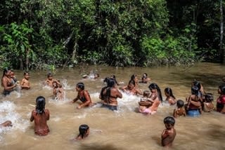 アマゾン 二つの世界を生きる - 先住民族関連ニュース アマゾン 二つの世界を生きる - 先住民族関連ニュース