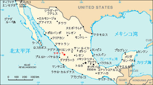 テキーラは山火事の副産物だった について考える 団塊オヤジの短編小説goo