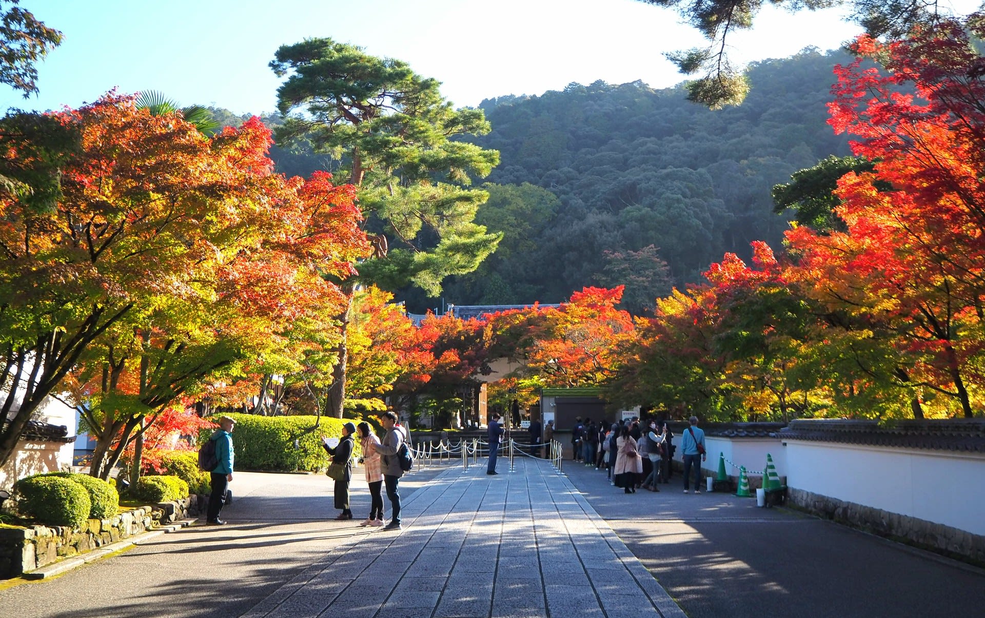 永観堂の紅葉 京都で定年後生活