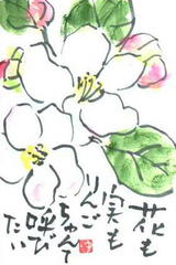 4/8「リンゴ」 - ゆみんばのブログ☆原点は絵手紙！