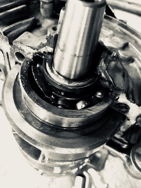 イメージ 8