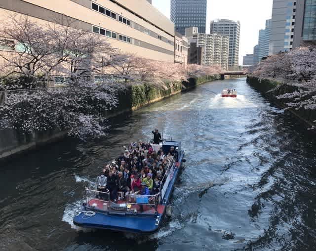 目黒川 大崎 恵比寿 桜 私の訪問地 旧 高槻を拠点とした訪問地 目黒川 大崎 恵比寿 桜 私の訪問地 旧 高槻を拠点とした訪問地