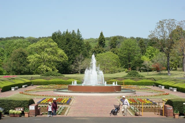 茨城県植物園 那珂市 田舎へ行ってご 見てご