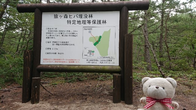 猿ヶ森ヒバの埋没林 19年9月 おでかけ大好き ピースくん