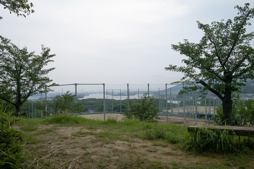 WCL-X100 X100V