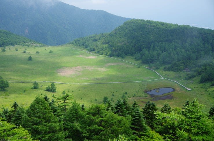 湿原全景 池の平湿原全景