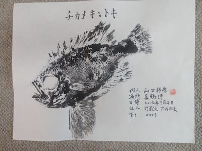 魚拓 湯河原 福浦港 竹蔵丸の めざせ 天然生活