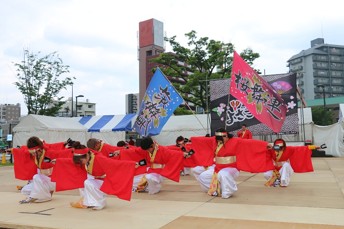 桜舞連 In 黒崎よさこい祭り 16 こーじのよさバカな日々 Vol 2 桜舞連 In 黒崎よさこい祭り 16 こーじのよさバカな日々 Vol 2