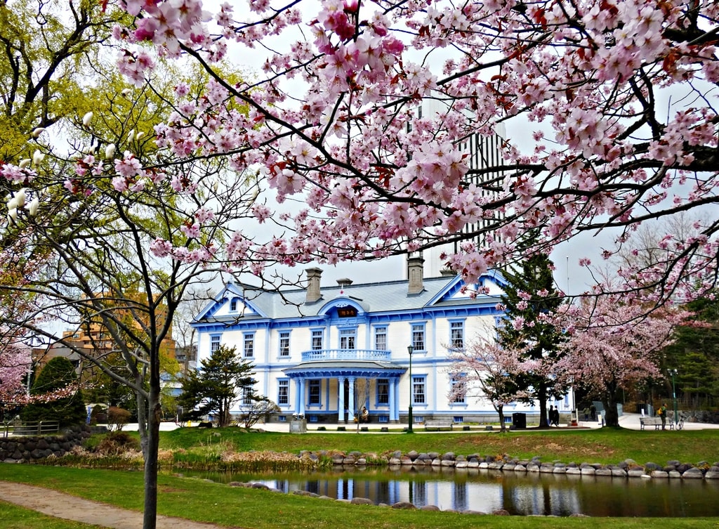 札幌で花見２０２３〜中島公園〜 - 札幌・円山生活日記