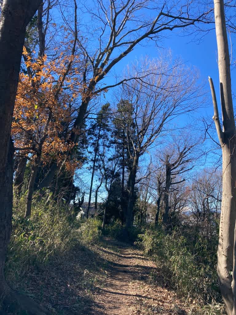 山のあなたの空遠く 読書の森