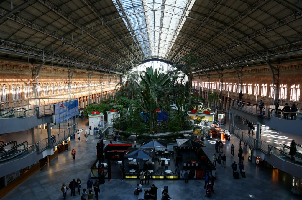 14初夏 スペイン鉄道音楽美術紀行 05 マドリッド アトーチャ駅は大熱帯植物園 天燈茶房 Tendancafe 14初夏 スペイン鉄道音楽美術紀行 05 マドリッド アトーチャ駅は大熱帯植物園 天燈茶房 Tendancafe