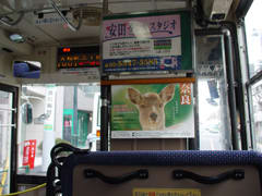 バスの中の鹿