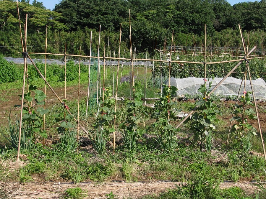 クリックで大きくなります。