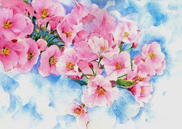 日曜画材研究 透明水彩 花の描き方 花弁 葉 茎を描く のご案内 Sakura Artsalon Osaka
