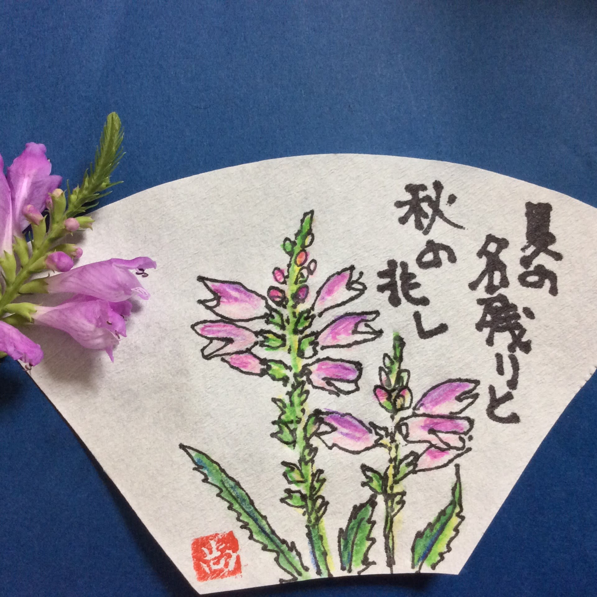 絵手紙 秋の花 れんちゃんの季節の花絵手紙