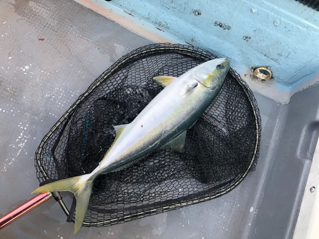 2022年の初釣りもジギングスタート！ 2022/1/2 紅月見聞録（東京湾内釣行記）