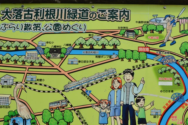 ぶらり散歩 春日部ひまわり畑 牛島古川公園 gooブログはじめました