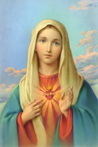 最も小さい霊魂の会 聖母マリアがシスター ビスケイブリュに出現 その１ ボンクリのカトリック徒然草