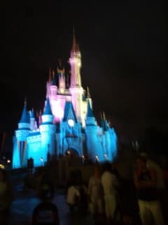 WALT DISNEY WORLD