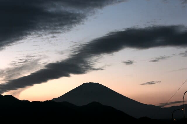 お正月の風景 山と蘭と恋の華