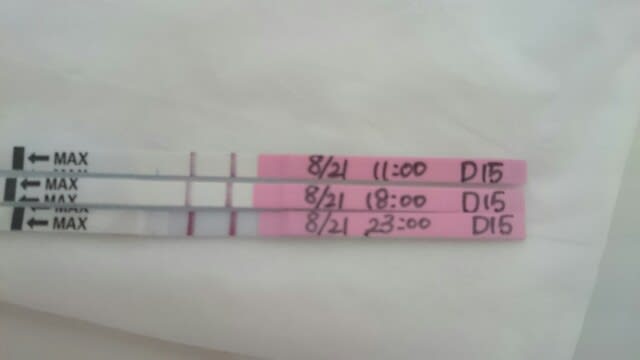 ラッキーテスト 高温期10日目 妊娠検査薬と排卵検査薬 フライング検査の比較実験してみた｜Life