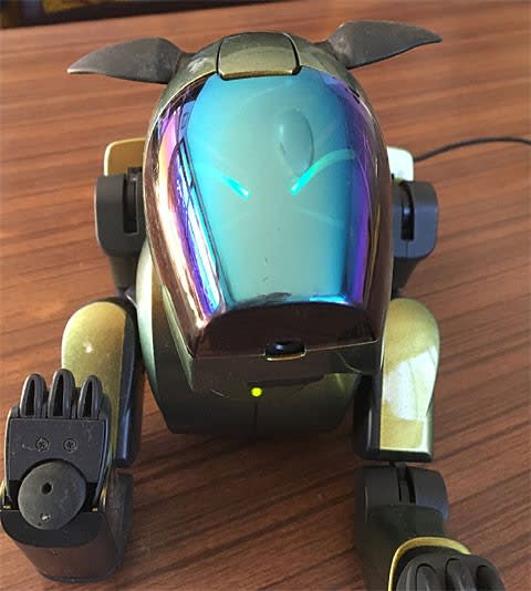 AIBO