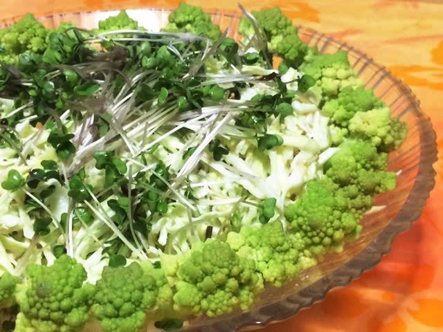 休肝日とスルフォラファン 九州産野菜 果物 大分の石川青果のエーコです