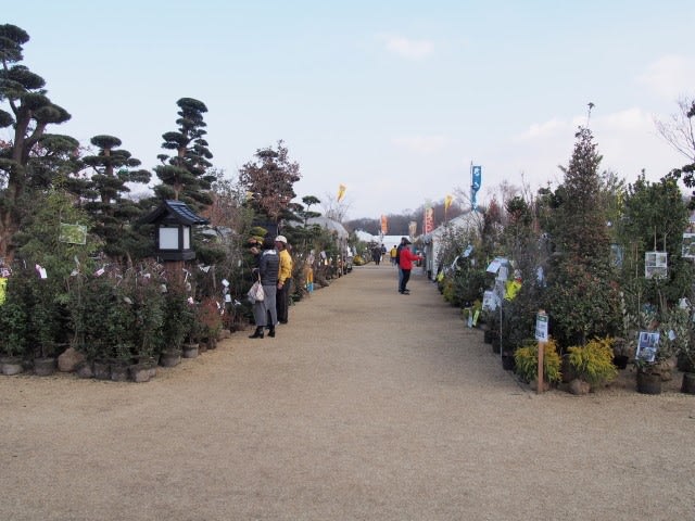合志市ｊａ春の植木まつり会場 農業公園 熊本から気ままに山と自転車のブログ