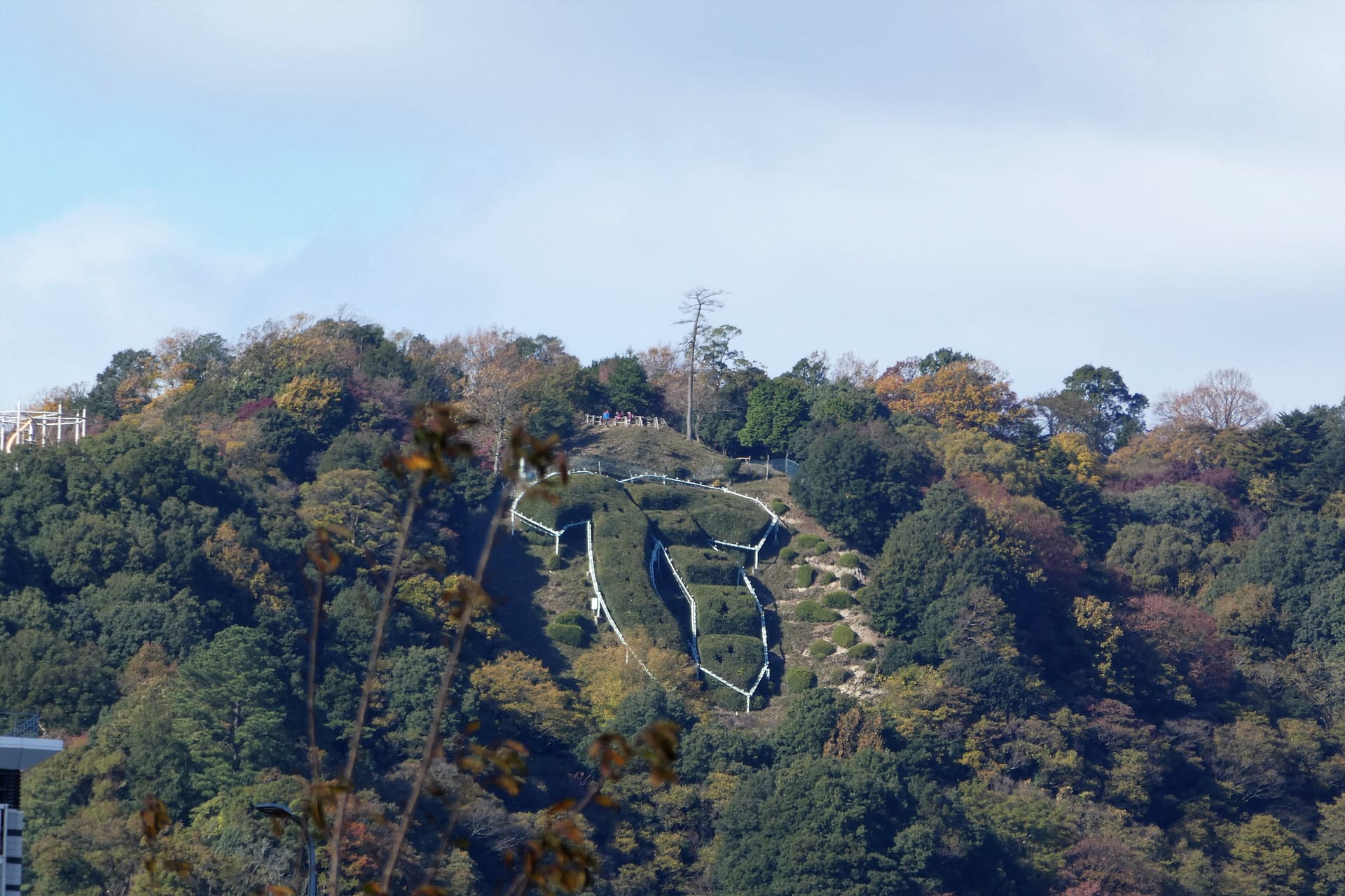 神戸・市章山と錨山をコンデジの望遠で撮ってみました - あひるさんが神戸あたりでお写真
