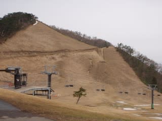 豪円山。雪がある率より雪が無い率の方が高い。