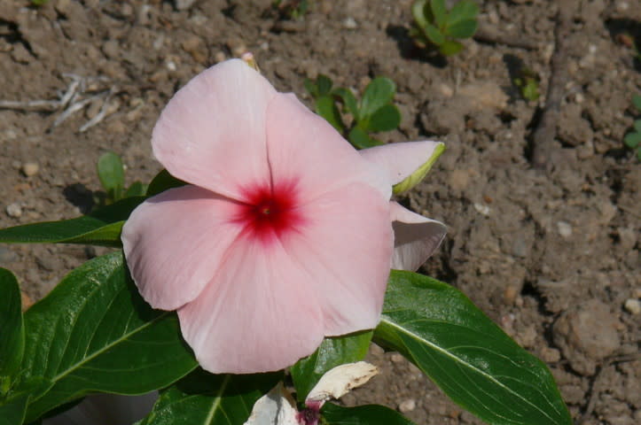 P2900222a
