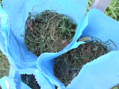 袋で雑草堆肥作り 試行錯誤の家庭菜園