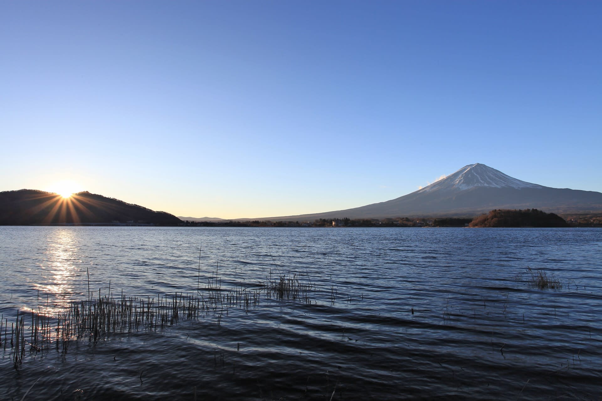 大石公園での夜明け 四季彩富士
