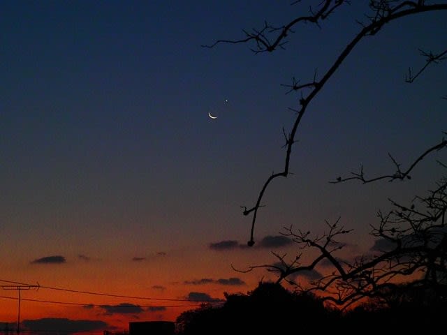 夜明けの空で細い月と金星が大接近 庭先の四季