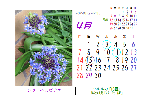 4月の花暦 Goo3