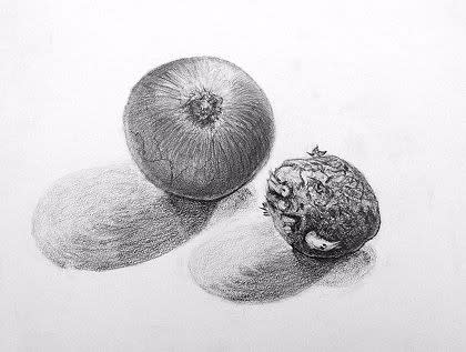 Hさんの鉛筆画完成 教室 自然いろいろブログ Hさんの鉛筆画完成 教室 自然いろいろブログ